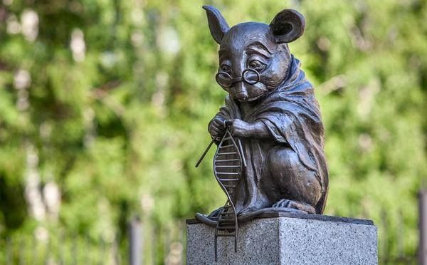 DNA İplikciği Ören FARE

Novosibirsk Sitoloji ve Genetik Enstitüsü tarafından deneysel çalışmalar sırasında ölen hayvanlar anısına Rus heykeltıraş Andrew Kharkevich'e yaptırılan DNA iplikciğini ören fare anıtı.

#biyomühendislik #genetik #genetikmühendisliği #biyoloji