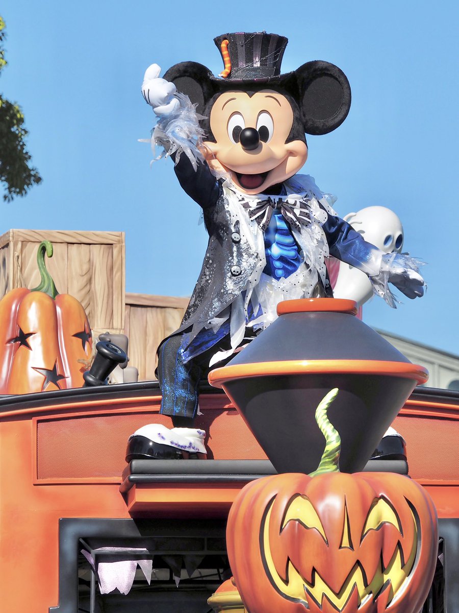 ことぶき🍭 tweet media