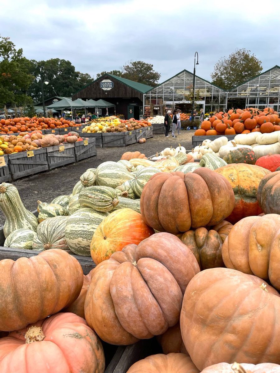 RootsDelco's tweet photo. #Linvilla @ILoveThatPlace Happy Halloween eve/Mischief night 👻👻👻🎃🎃 https://t.co/1pVohGgdih