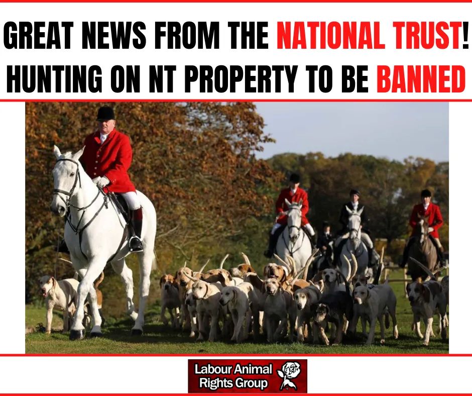 cktCCFCPUSB's tweet image. About time. 
@nationaltrust had blocked me on Facebook for campaigning against &quot;trail&quot; hunting which has always been a smoke screen for allowing illegal hunting to continue. Now they can&apos;t and I was right! Up yours! ❤🦊❤🦌❤🐇 #ProtectOurWildlife #BanHuntingWithDogs