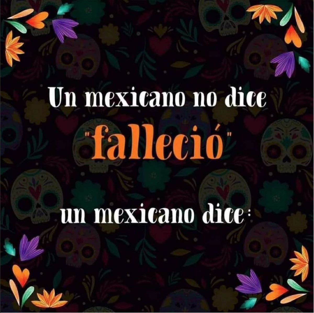 AltcelMx tweet picture