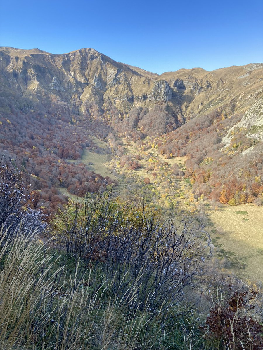 Daviet Jean-Christophe tweet media