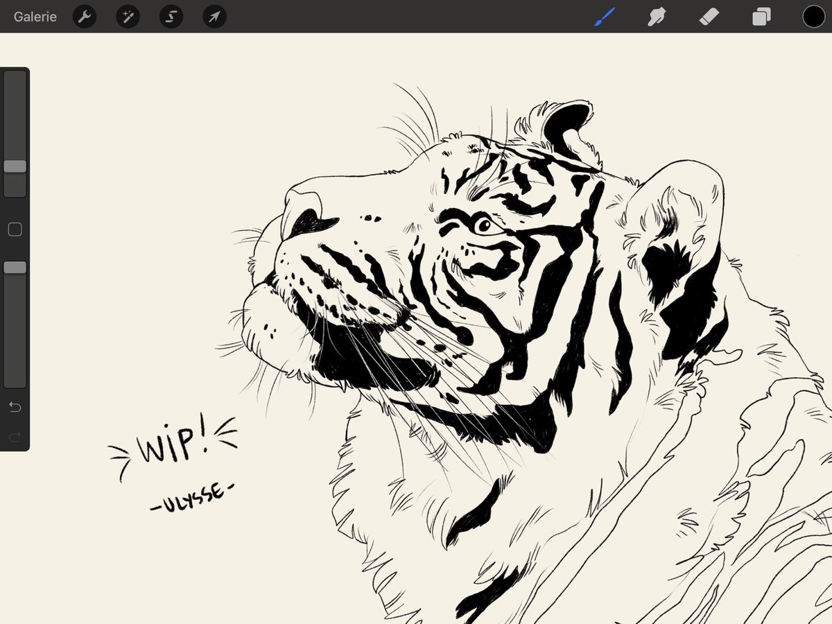 *Growl* 🐅 