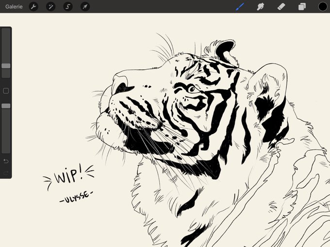 *Growl* 🐅 