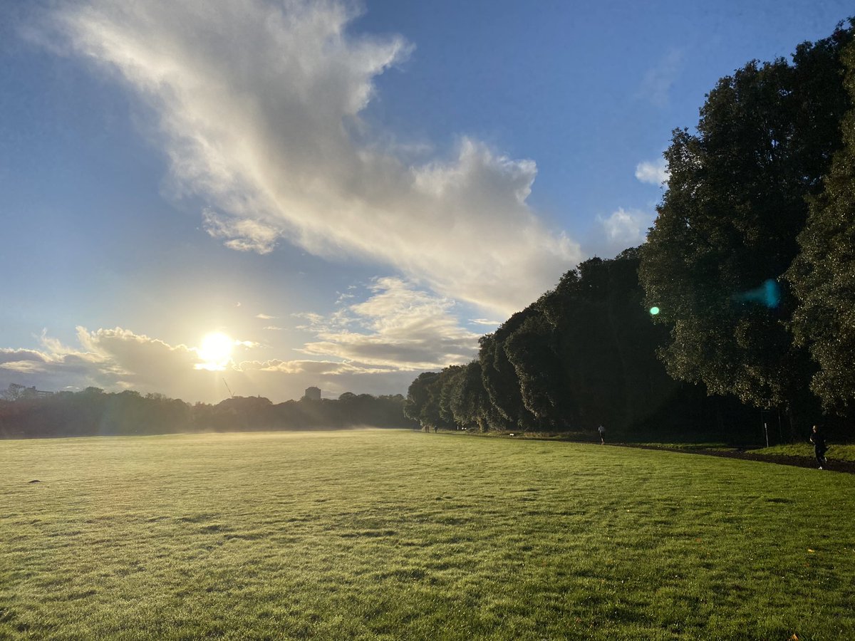 eleanorsanders's tweet photo. Lovely view for my 50th @cardiffparkrun #marshalling this morning. When you can’t run anymore you can marshal and encourage others in their run. #bigtree #milestonetshirt #its50 https://t.co/n6N8ZxVnaE