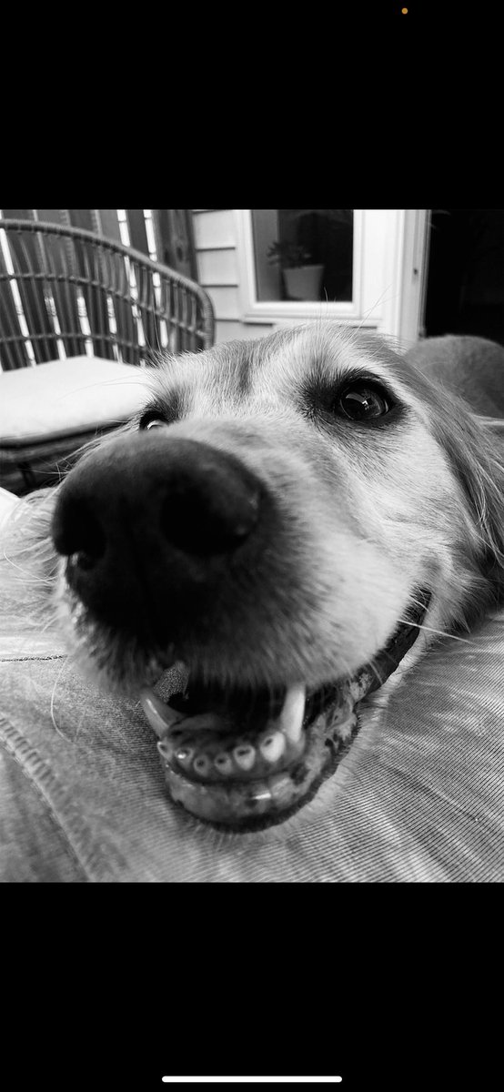 Cealey Godwin tweet media