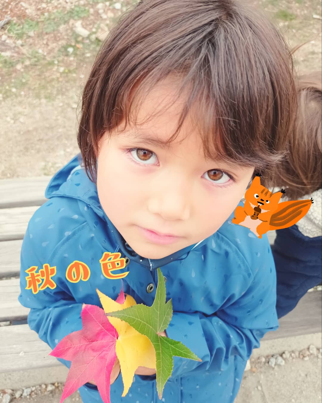 海外在住日本人 Twitter Search Twitter