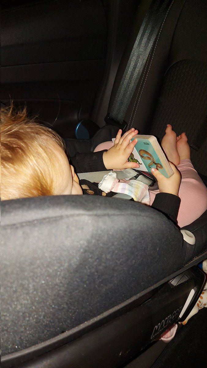MrJ_Evans's tweet photo. Non-fiction reading starting young.

Not even a year old and already books are her go-to favourite thing. Will continue to observe with utter fascination as early reading behaviours continue to grow.

#longitudinalstudy
#reading #readingforpleasure https://t.co/qaDYPrQGbC