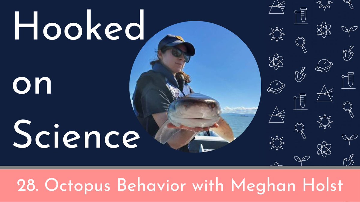 Hooked on Science Podcast (@hookedonscience) on Twitter photo Is it octopuses or octopi? ๐๐๐
What happens when an octopus loses an arm?
And HOW MANY brains do they have???
Learn the answers to these burning questions and more in this week's episode with <a href="/MegHolst/">Meghan Holst</a>, co-host of <a href="/SharkpediaPod/">The Sharkpedia Podcast</a>!
#Tweet100 #PodernFamily <a href="/AcademicChatter/">Academic Chatterโข</a> Is it octopuses or octopi? ๐๐๐
What happens when an octopus loses an arm?
And HOW MANY brains do they have???
Learn the answers to these burning questions and more in this week's episode with <a href="/MegHolst/">Meghan Holst</a>, co-host of <a href="/SharkpediaPod/">The Sharkpedia Podcast</a>!
#Tweet100 #PodernFamily <a href="/AcademicChatter/">Academic Chatterโข</a>