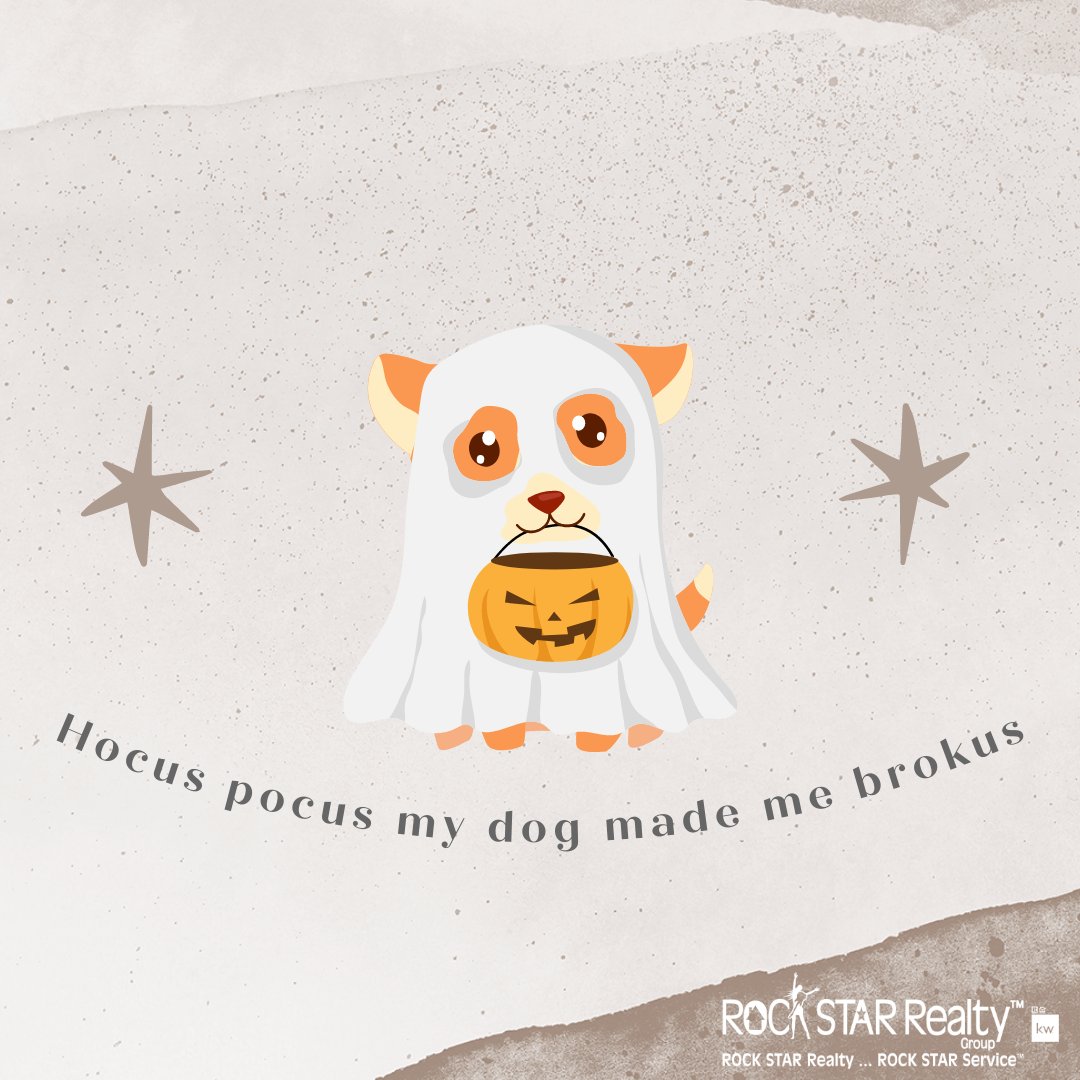 What are everyone's pets dressing up as this weekend?! Comment below! 
•
• 
•  
#ROCKSTARRG #KWMetroCenter #RealEstate #FallsChurchCity #FallsChurch #Halloween #Dog #Hocuspocus #HalloweenHumor #Funnyquotes #costume