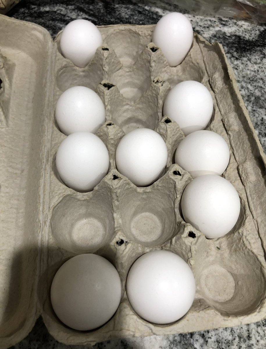 DrJenChen4kids's tweet photo. Taking eggs out for #SaturdayMorning #MedTwitterBaking project and I find this ๐ณ
Mathematician hubby (who last used the eggs): What? Itโs Monte Carlo sampling!
#ChaoticNeutral #MathJokes https://t.co/Bjhd4Cr8ma