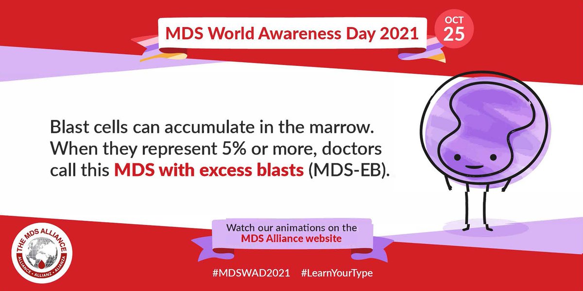 MDSAlliance's tweet photo. #MDS with excess blasts is where blast cells represent 5% or more of the cells in the bone marrow.
Check out our animation, which launched on #MDSWorldAwarenessDay, to better understand this type of MDS 📹 https://t.co/hewjahLISP
#MDSWAD #MDSWAD2021 #mdssm #LearnYourType https://t.co/mJ1l3AycJT