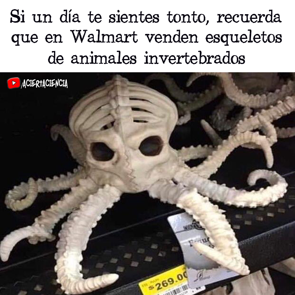 acciencia's tweet photo. 🤦🏻‍♂️ #Ciencia #Meme #Llol #Halloween #FelizSábado https://t.co/7RncQ6g6bP