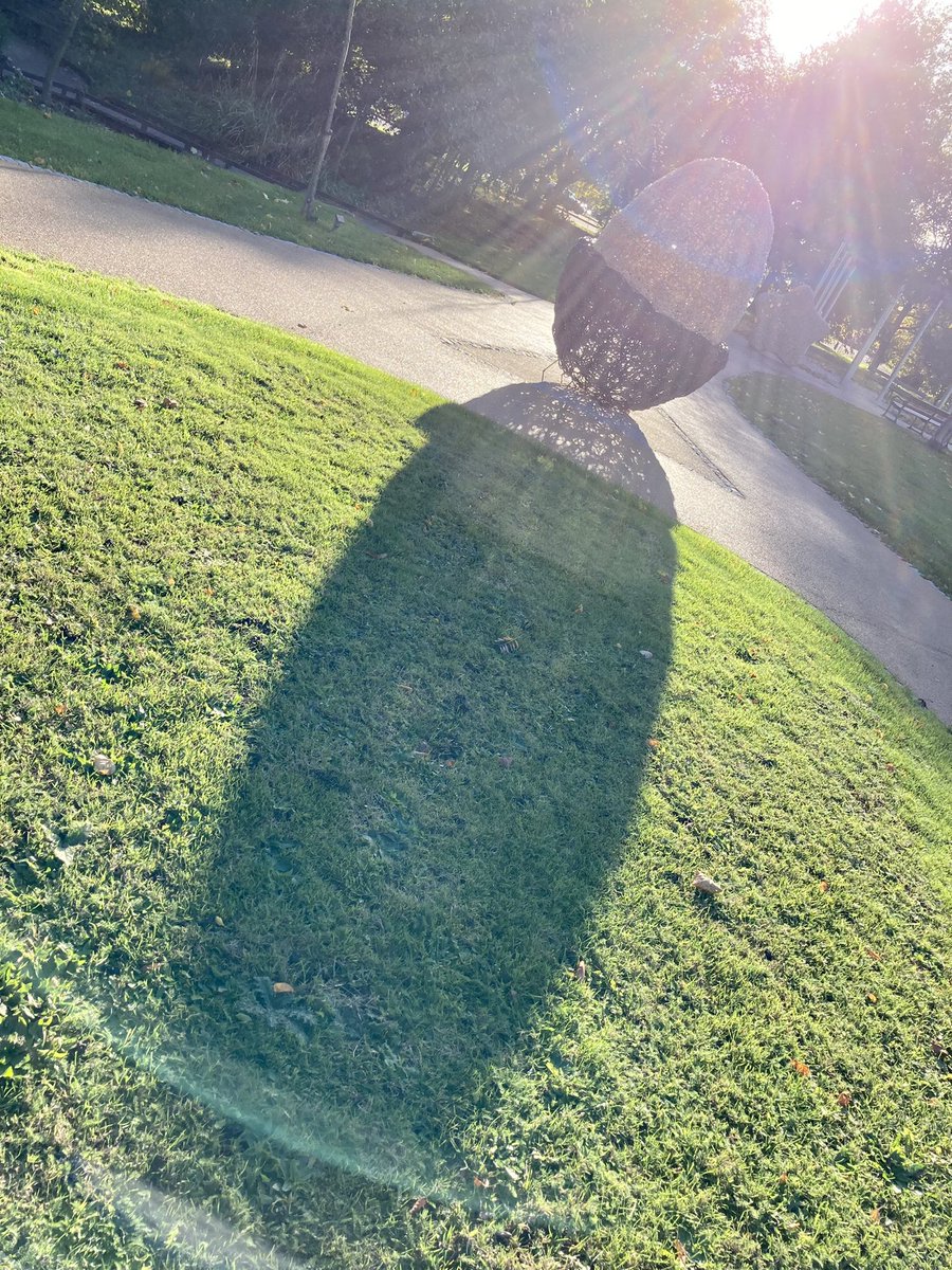 Beautiful light at the <a href="/FSFundraising/">Forever Stars</a> memorial at <a href="/UniofNottingham/">Uni of Nottingham #WeAreUoN</a> today ❤️ #trentevents