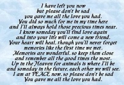 SusieQ6shooter's tweet photo. @bill_sturgell So very, very sorry for your loss. 🙏♥️🙏                    #GodBless #GodRest #Sango https://t.co/IPZeOV48PK