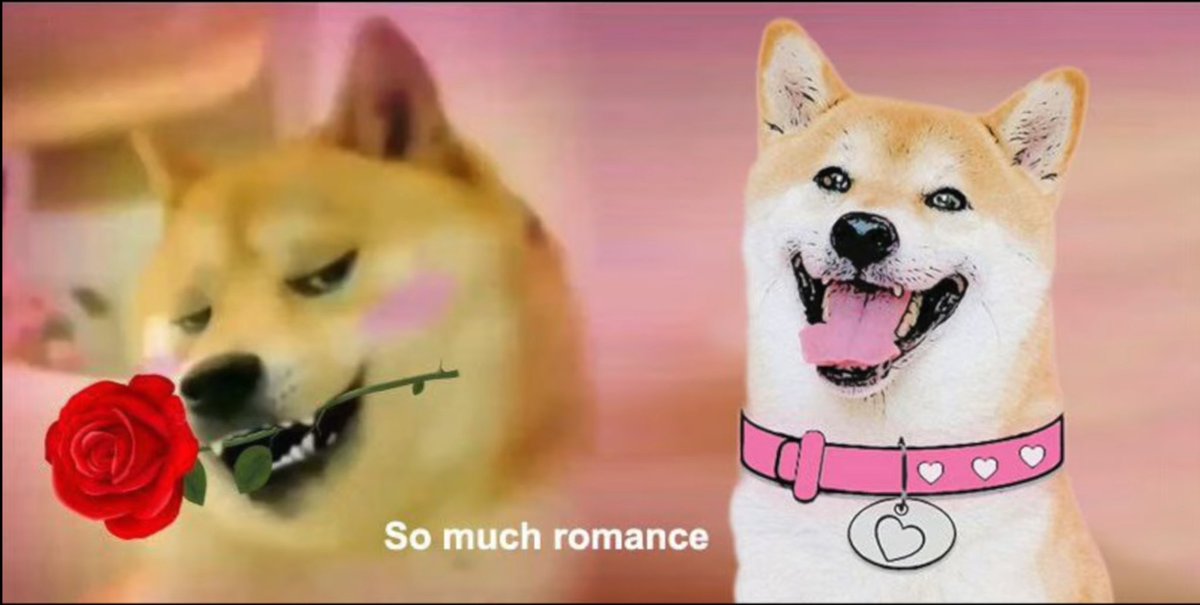 marcfavell's tweet photo. @mattygdogegf Everyone retweet #RT @BitrueOfficial #DogeGFArmy #DogeGF
#Bitrue you want BT to list DogeGF #Dogearmycoin #ShibKiller2022 #DogeCoinGirlfriend #KindGestures #Reciprocity dogeGF is going to #SkipMoon right to #AlphaCentauri 💎🖖🇨🇦🚀🚀🚀📈📈 https://t.co/9vgIZky1KA