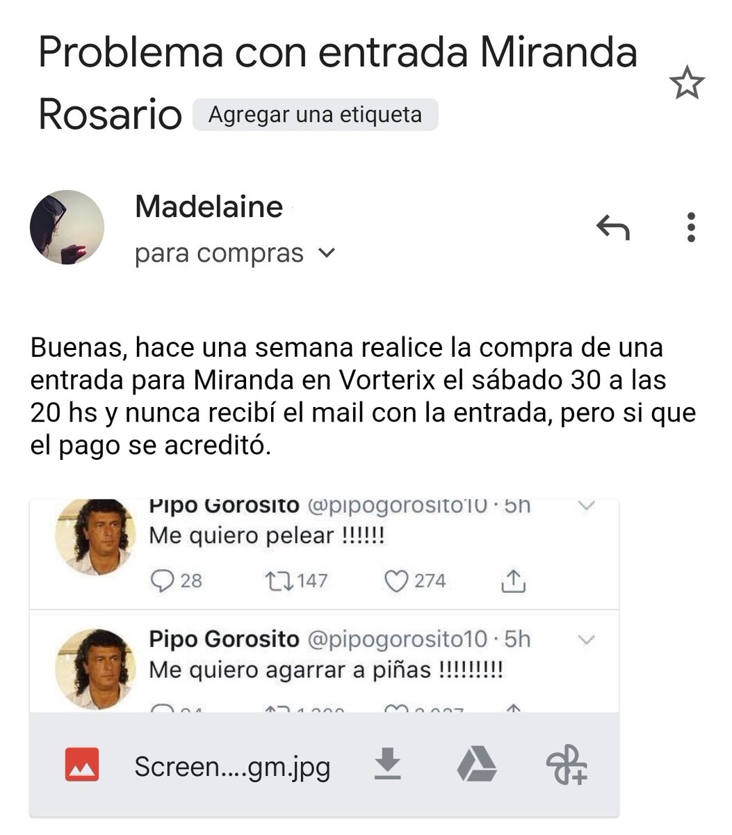 Madelaine tweet media