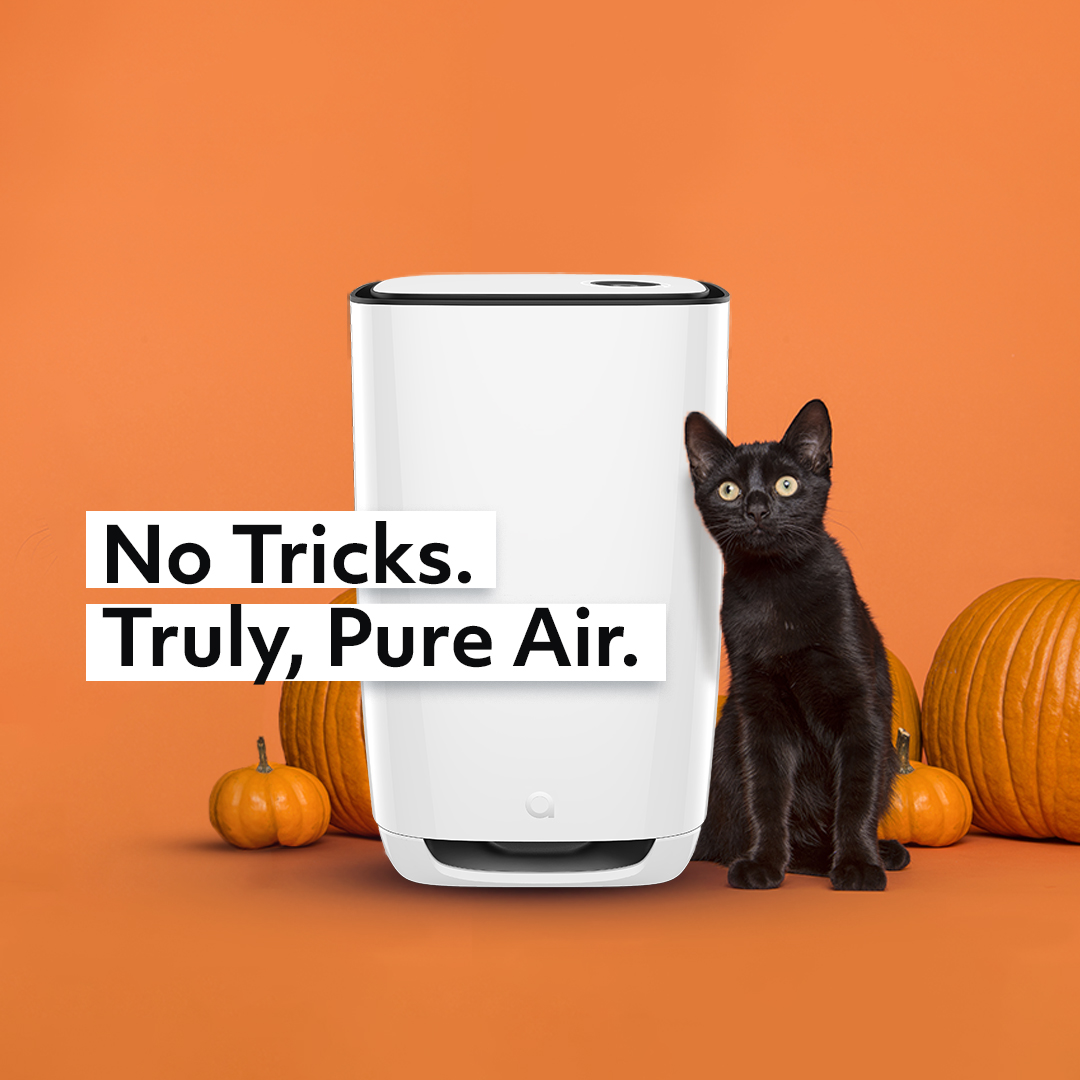 Get rid of creepy airborne allergens, mold, smoke and odors.

This Halloweekend, save up to $100 on our top-selling 3-in-1 Pro air purifier.

Use our promo code SPOOKYAIR (thru Oct 31st)

#aerishealth #airpurifier #promo