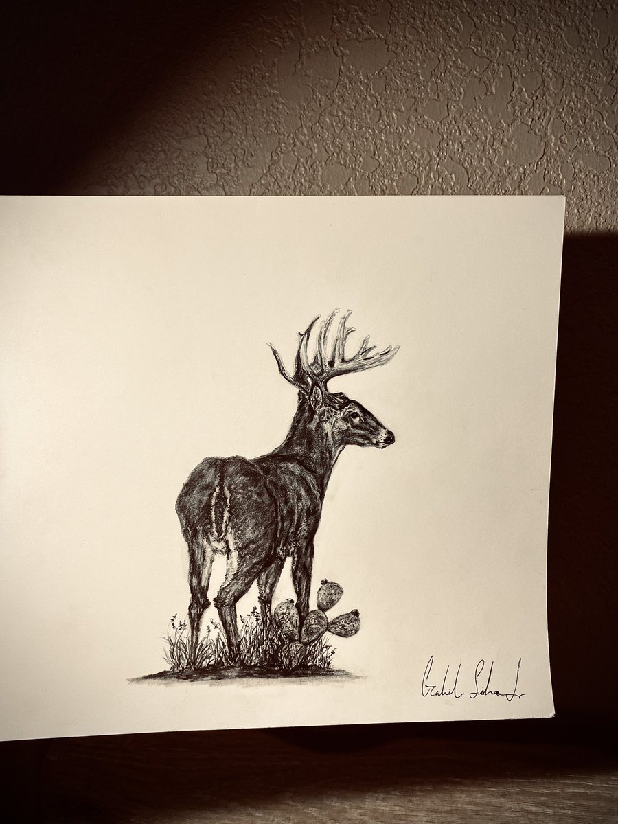 GabeSilvaaa's tweet photo. just finished up this drawing 🌵 https://t.co/aC0wmftHdo