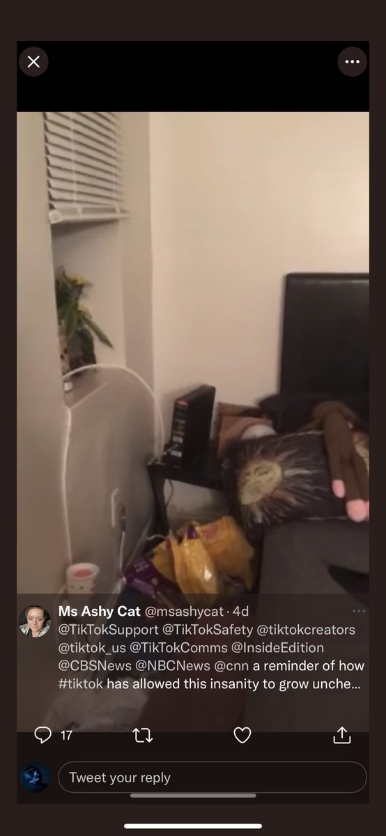 IttyBittyLiar tweet media