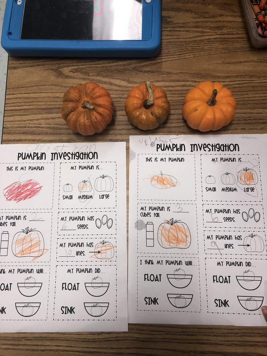 cyrenemaria's tweet photo. Our dually-identified students are learning about pumpkins. Will they sink or float? #esol #SpecialEducation #allaboutpumpkins https://t.co/7bFW4k0Tbu