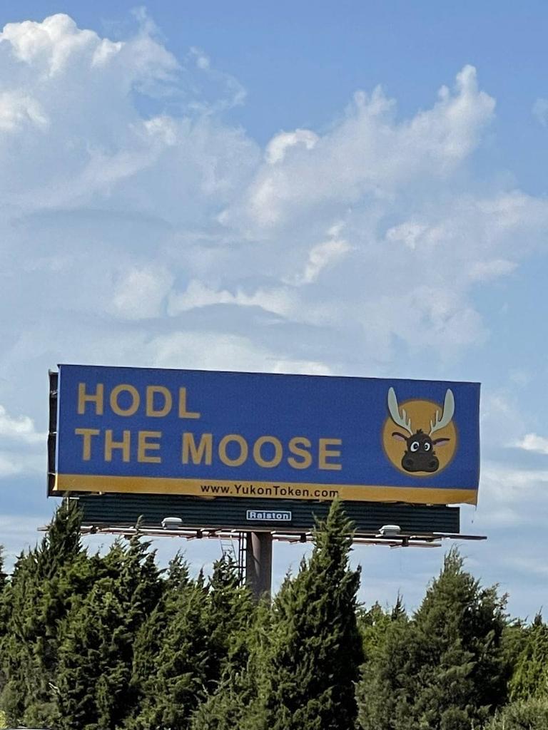 syntaxIntJos's tweet photo. @DrClipClop @ThanosGemHunter Fill your bags with $Yukon and I bet you #santa will be early this year. You dnt wanna miss riding the Moose this early.
#santaIsEarly
#elonMoosk
#uniswapgem
#memeGiant
https://t.co/U0nR7azA8w
CG and CMC coming soon! https://t.co/pZ3uBbhoI9