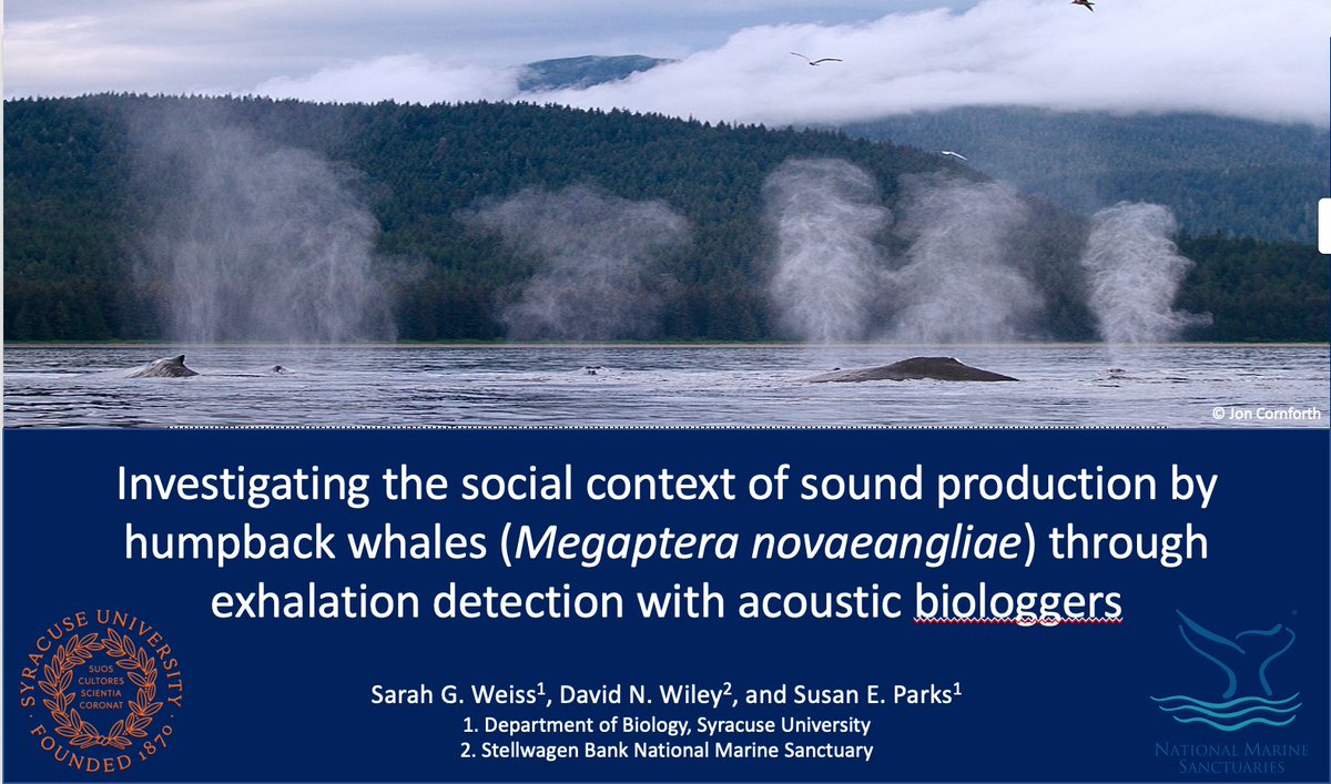 SarahGWeiss1's tweet photo. Our behaviors are influenced by those around us, but how can we understand the influence of others on behavior when our tagged animals are out of sight?

Check us out at #BLS7 for a new method using acoustics recorded on #biologging tags to determine social context @BLS7Hawaii https://t.co/CvQL94udBu
