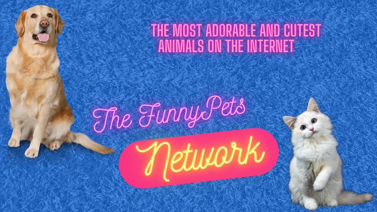 NathanSplit's tweet image. The Most Adorable and Cutest Animals on the Internet ? 1080p – Hi, thanks for watching our video!
I decided to create this channel as a huge animal lover, and seeing my own cat doing the most crazy stuff on an almost daily base XD
... youtube.com/watch?v=-SVtHk…