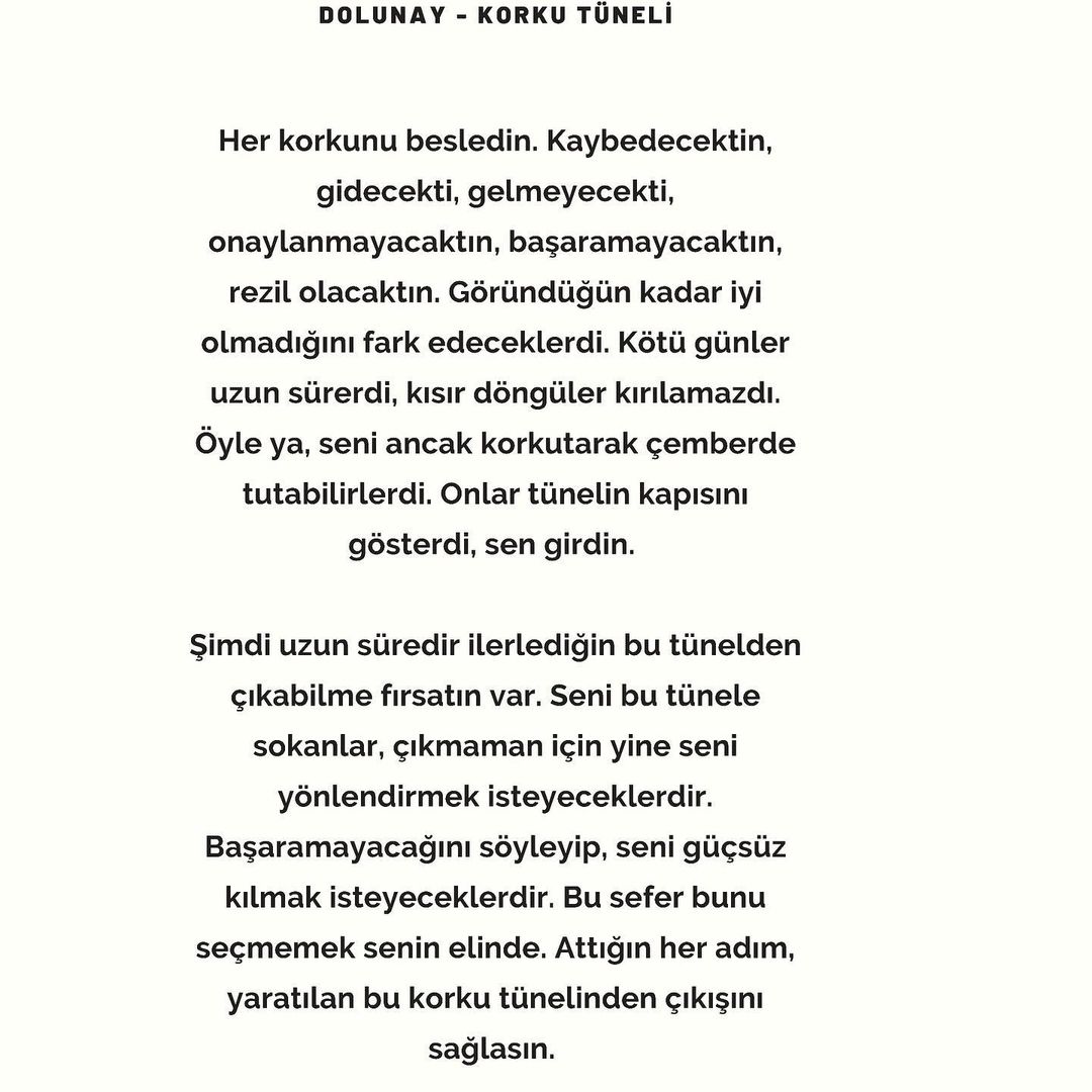 Onların zaferi, korkman ve vazgeçmen, kendini güçsüz görmen. Senin zaferin yenildiğini görmek isteyenleri, bittiğini düşünenleri, korktuğunu sananları haklı çıkarmamak olacaktır. 

Korkma. Tünel bitti.
<a href="/penguenyigit/">Yiğit</a>