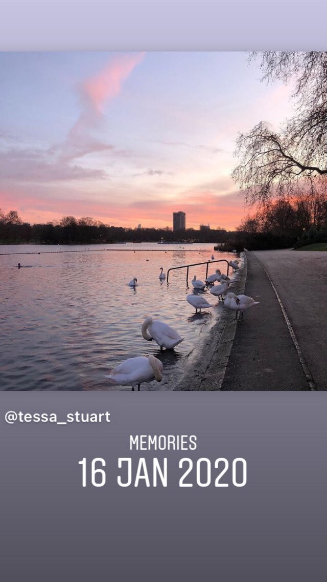 ✨Tessa Stuart ✨ tweet media