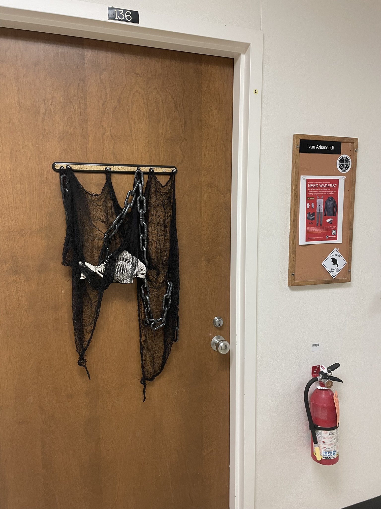 تويتر ivan arismendi he his timaukel