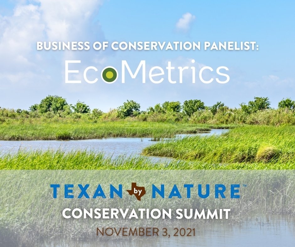 Ecometrics_LLC's tweet image. We're thrilled to announce that Ecometrics' Ed Pinero will be speaking at the 2021 Texan by Nature Conservation Summit on Nov 3rd! Join us in person in Dallas, TX, or attend online for free.  Learn more: ow.ly/hdKf50GtmTY @TexanbyNature #ConservationMatters #TexanbyNature