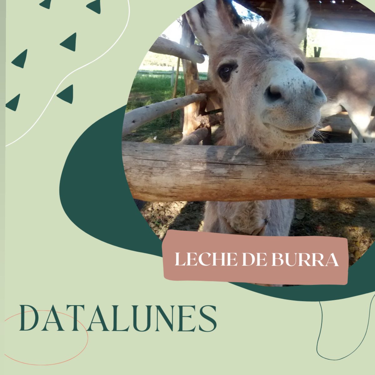 Cómo todos los Lunes  compartimos en historias datos interesantes de producciones poco conocidas. 
instagram.com/raicesdelfutur…
Las podés encontrar en historias destacadas como DATALUNES.

¿Habían escuchado hablar de esta producción?