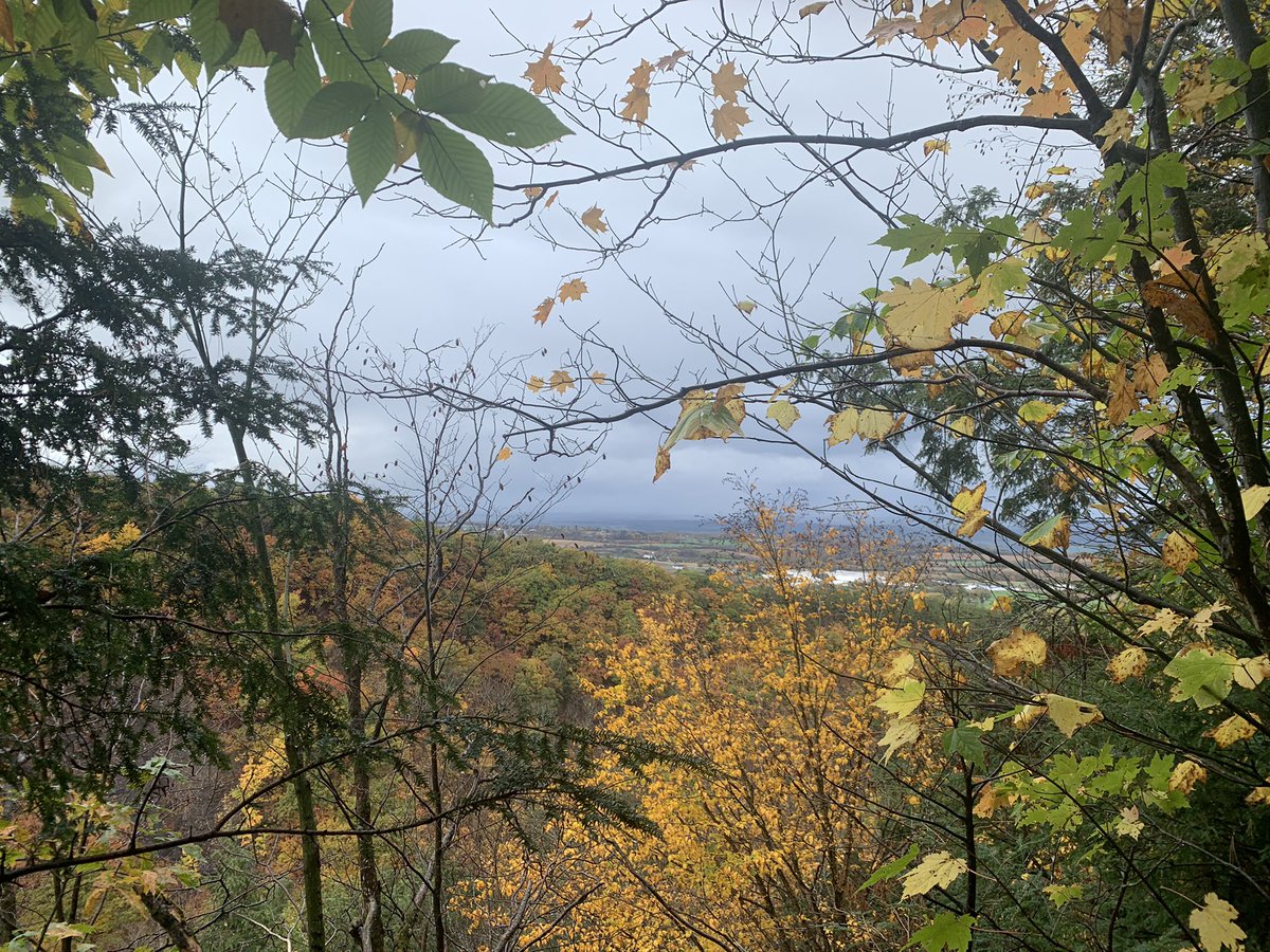 copenhagen_ta's tweet photo. Our intrepid group braved the rain Sunday to start our #LC33 Challenge! 5.39 miles in the book thanks to Whetstone Gulf. Colors were beautiful, but the rain did limit turnout. Not a problem, everybody will have a chance to catch up! @adirondackstughill 🍁🥾 https://t.co/iJG9Lgztfh