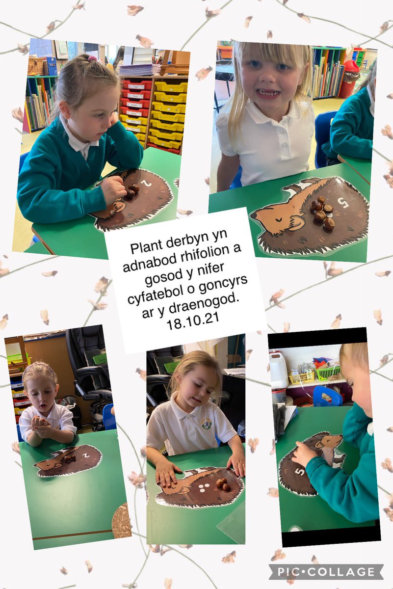 Manod_AR's tweet photo. Brysur hefo’n gwaith rhif heddiw, adnabod rhifolion, cyfri concyrs ac ysgrifennu rhifau mewn geiriau a rhifolion #cyfnodsylfaen #eyfs @mathsnoproblem https://t.co/etajmyQn87