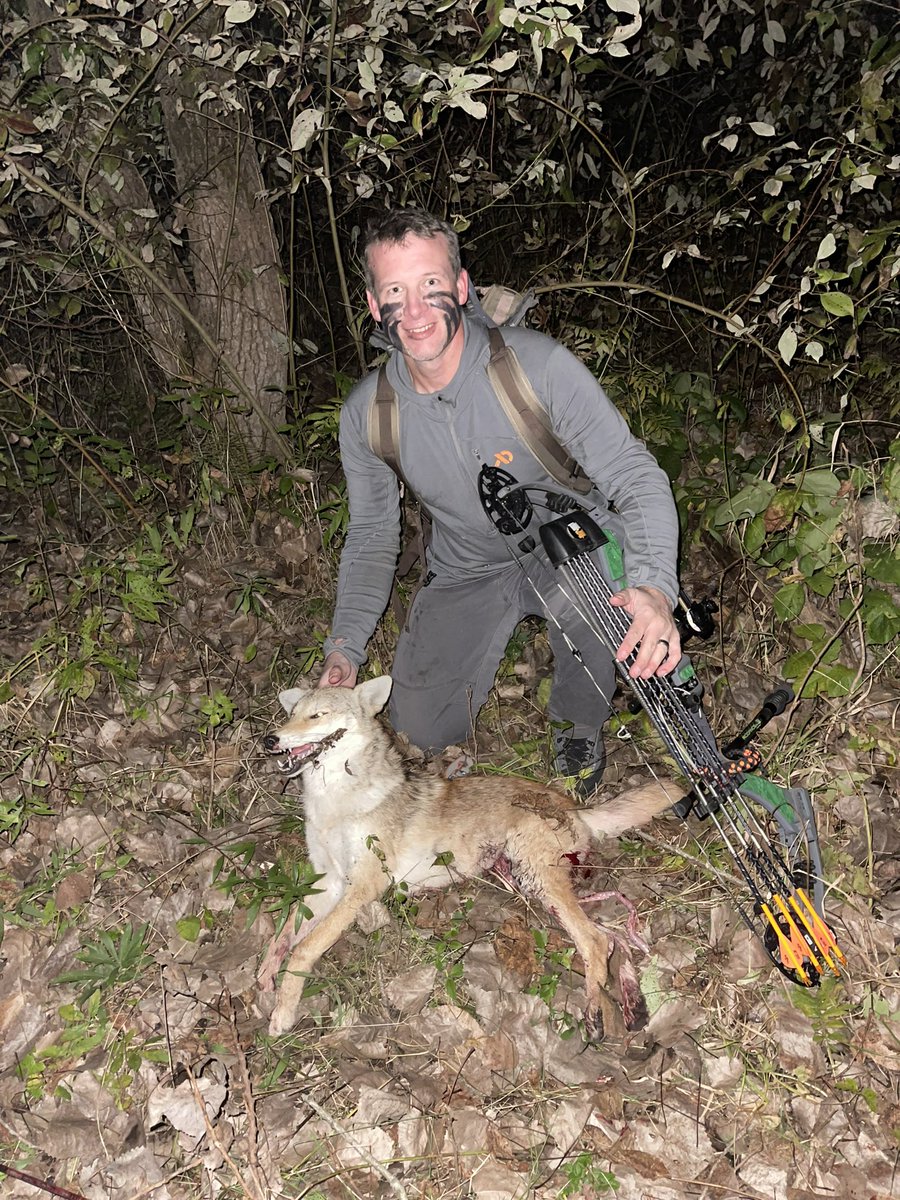CaseyDrown's tweet photo. Dude was chasing the wrong doe….@ILBOWHUNTING https://t.co/UxwOAbr594