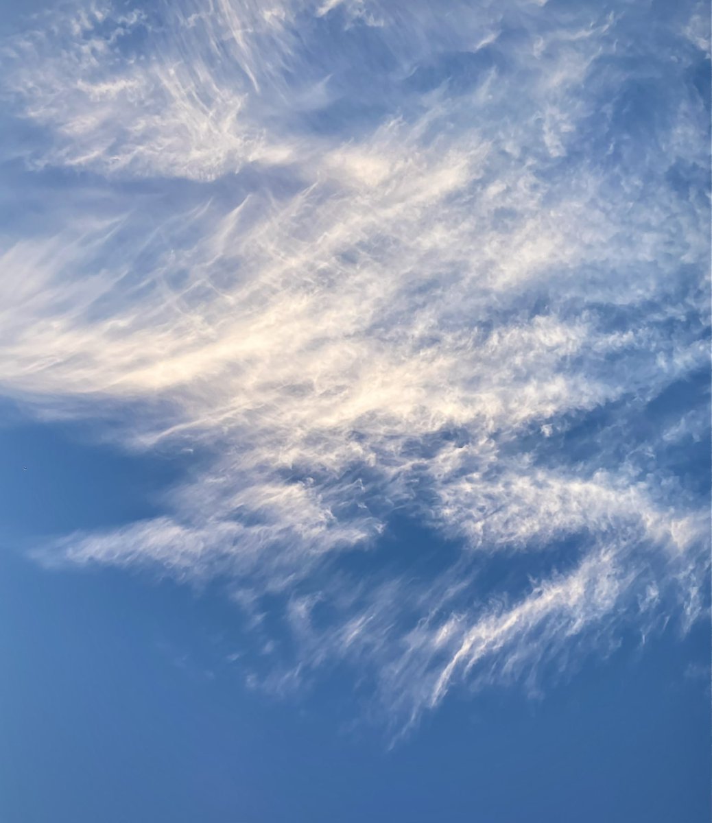 capleslie's tweet photo. Il nuovo Sindaco @gualtierieurope sotto il cielo di Roma. Ora #Roma, ora tutti! https://t.co/xLpQDOtN7X