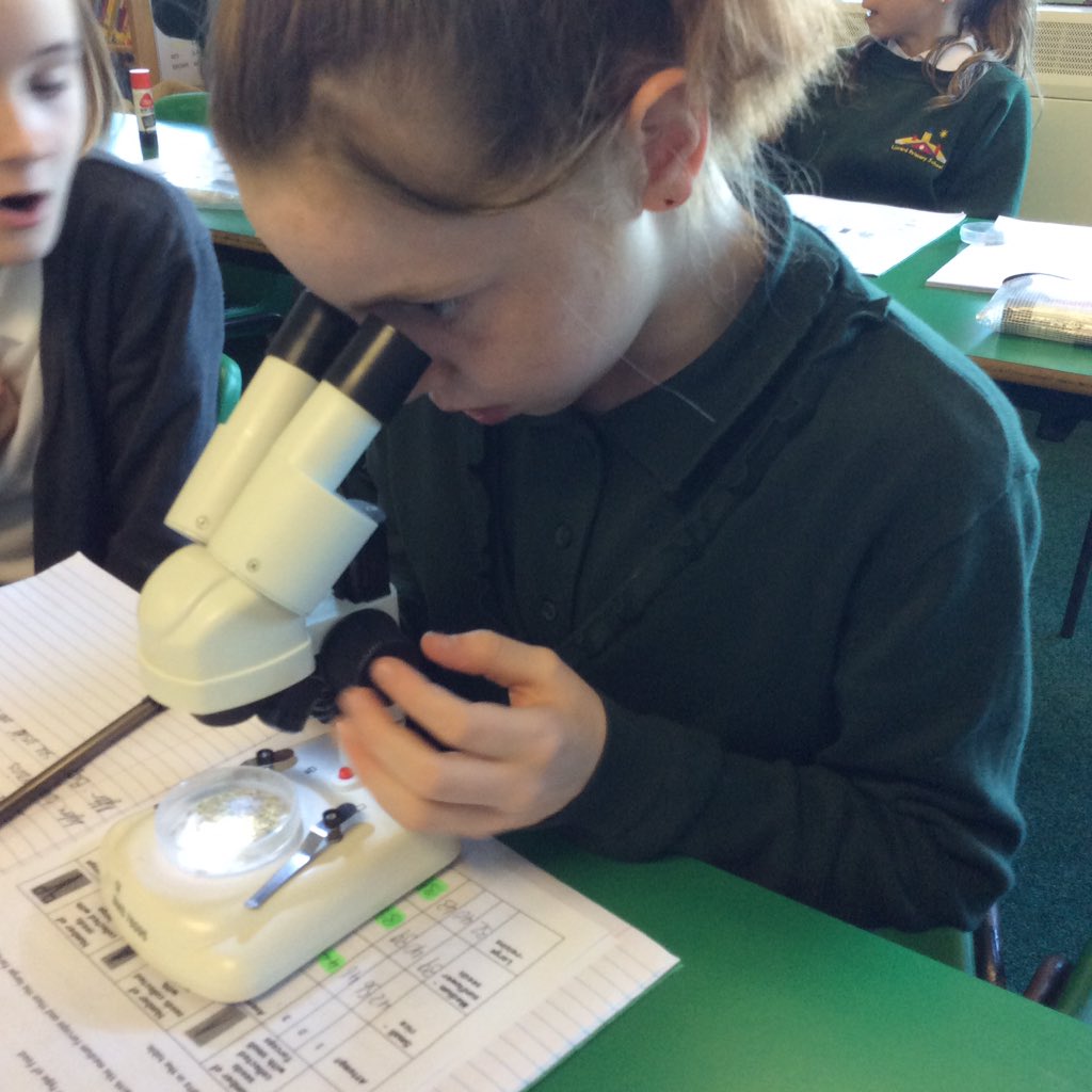 LPSYear6's tweet photo. @LPSYear6 children experiencing how to use a microscope correctly🔬 Thankyou @RoyalMicroSoc @STEMLearningUK https://t.co/DJgclPP5gX