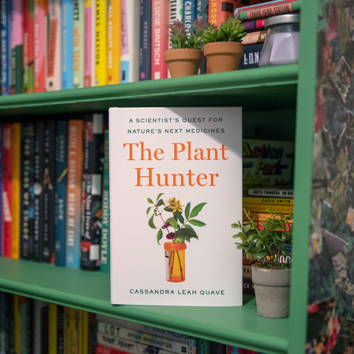 VikingBooks's tweet photo. Happy publication day to THE PLANT HUNTER! In this uplifting and adventure-filled memoir, leading ethnobotanist @QuaveEthnobot tells us the story of her quest to develop new ways to fight illness through the healing powers of plants 🌿
Start reading here: https://t.co/NLawR8QTND https://t.co/jB9ILRHsFS