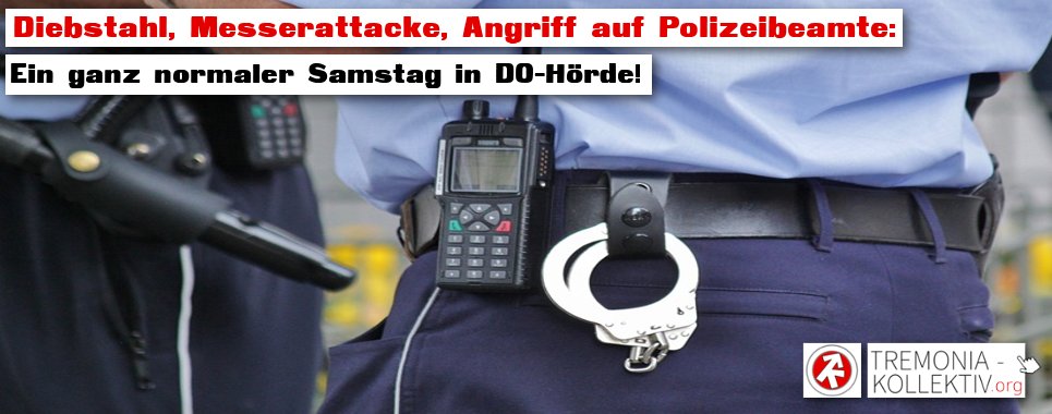 Am Wochenende gab es am #HörderBahnhof gleich mehrere Straftaten - mal wieder wohlgemerkt. Wir schauen erneut in den entstehenden #Angstraum und berichten über weitere #Kriminalität im besagten Stadtteil: tremonia-kollektiv.org/2021/10/18/die… #Dortmund