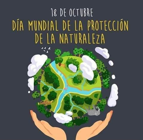 CecoprodeVH's tweet photo. El 18 de octubre se celebra el Día Mundial de Protección de la Naturaleza, con el objetivo de crear conciencia en la población sobre la necesidad de cuidar el planeta 🏞️🌎🐢🐟🐦🐞🐝 https://t.co/OyNX4q3Wtv
