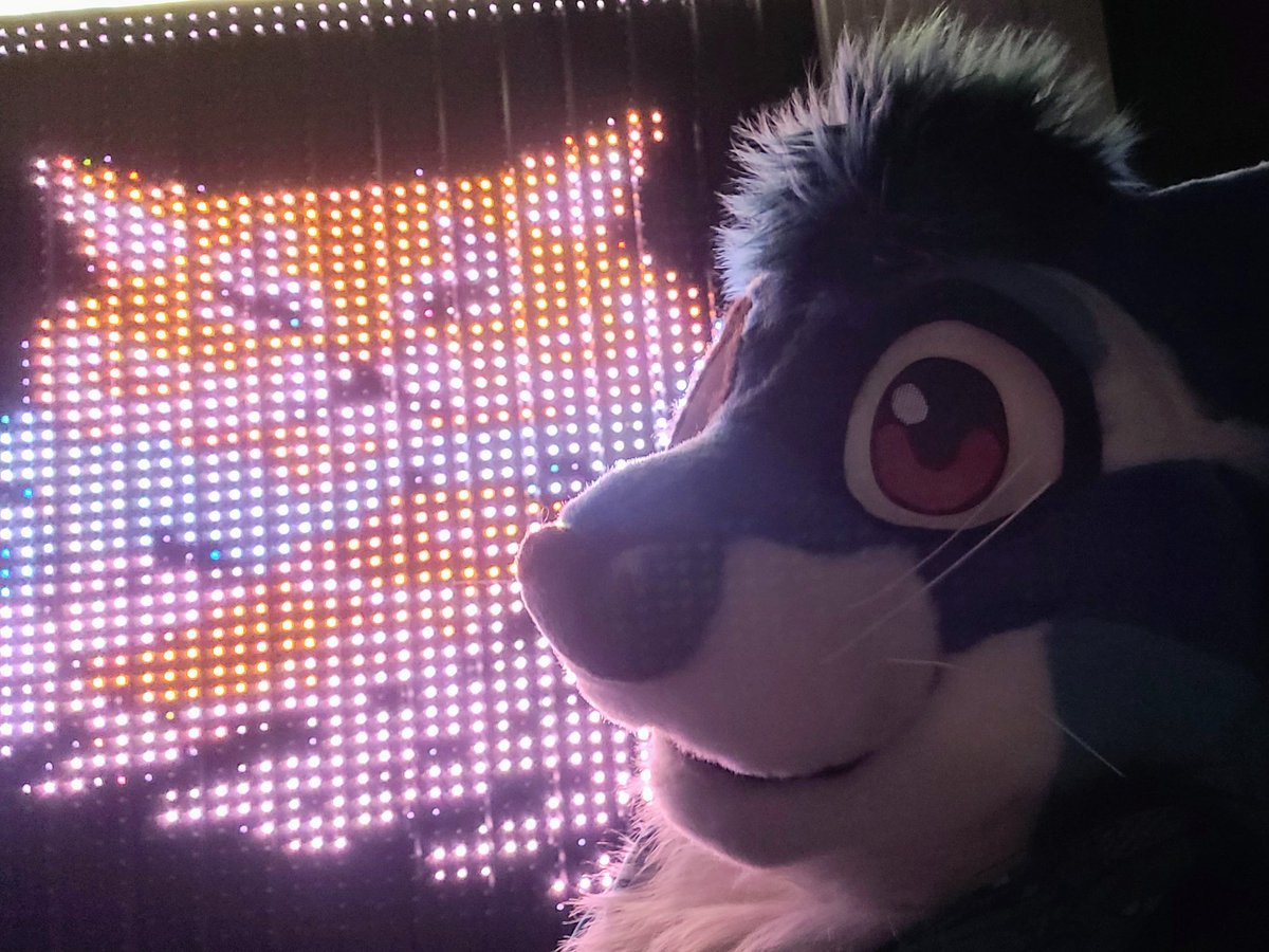 RedMagePanda's tweet photo. Stopped by #turple during @nocturnehalifax on Saturday and had a great time getting pictures with Citris by their light wall! SUPER COOL!
With @Citris_Dragon https://t.co/uFptdTFwVl https://t.co/y60utv9JcM