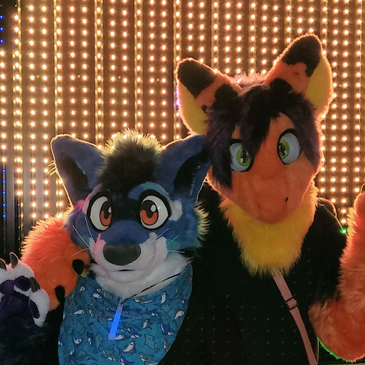 RedMagePanda's tweet photo. Stopped by #turple during @nocturnehalifax on Saturday and had a great time getting pictures with Citris by their light wall! SUPER COOL!
With @Citris_Dragon https://t.co/uFptdTFwVl https://t.co/y60utv9JcM