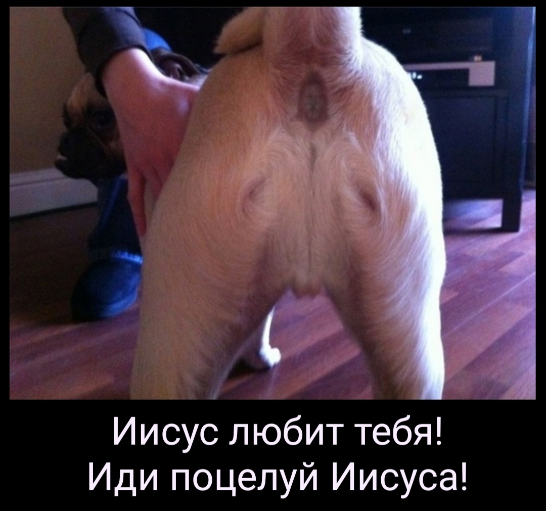 шишка в попе фото