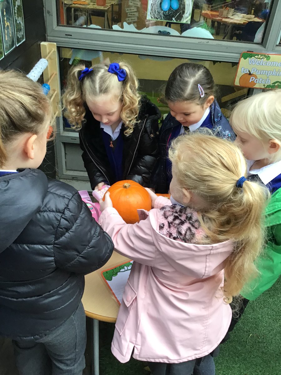 DeltaGreengates's tweet photo. It was a very busy first day in Reception's new pumpkin patch! Lots of lovely comparison talk about who had the smallest pumpkin and which pumpkin was the heaviest! π#eyfs #halloween #pumpkin #maths https://t.co/HGaTd8q1Ny