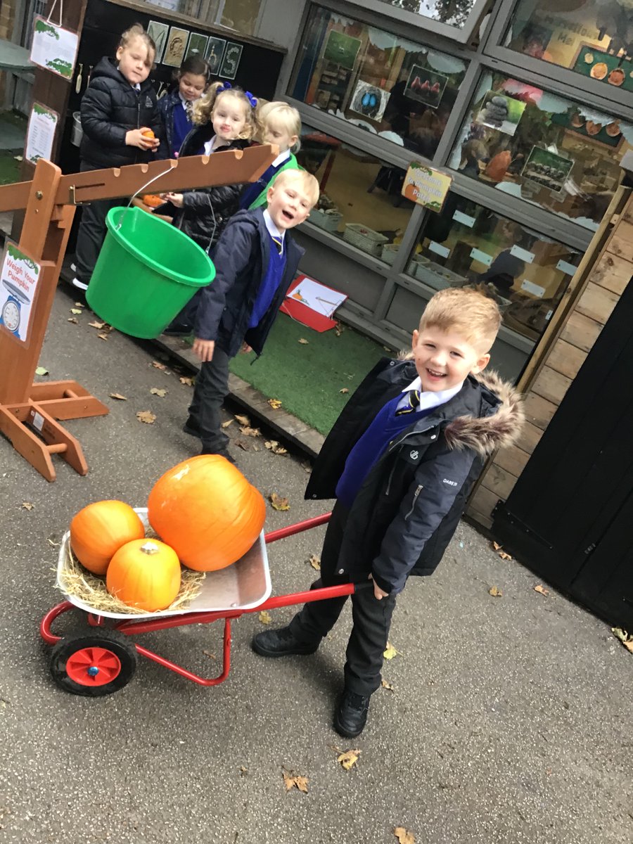 DeltaGreengates's tweet photo. It was a very busy first day in Reception's new pumpkin patch! Lots of lovely comparison talk about who had the smallest pumpkin and which pumpkin was the heaviest! π#eyfs #halloween #pumpkin #maths https://t.co/HGaTd8q1Ny