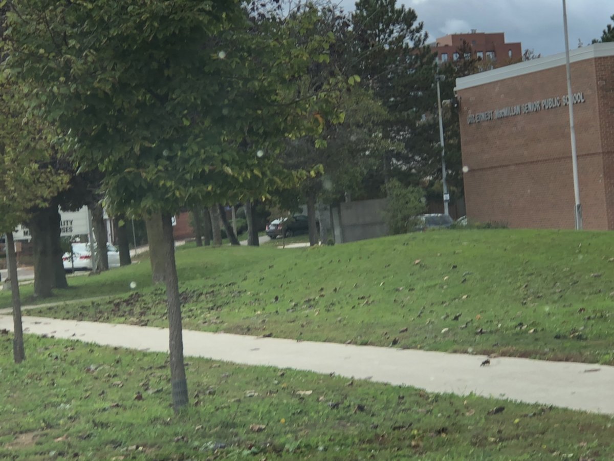 Dabeag69's tweet photo. @FedExCanada parking the wrong way on a street blocking a school cross walk and a fire hydrant in front of a Senior Public School? Hmmmm https://t.co/3b7xoMpQnG