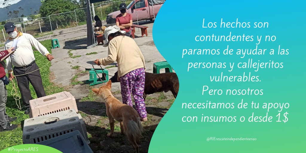 RIErescateindep's tweet photo. Siempre comprometidos ayudar a los que mas necesitan. Y tú también puedes unirte.
Apoyemos el #PROYECTO_ARES. Desde 1 $ o con insumos médicos.
Entérate más -> https://t.co/4yd73qCdpp
Sigue nuestras redes sociales. https://t.co/xAfzaN3tNj
#ayudaamimal #adoptanocompres #quito https://t.co/tqOHSLNrFL