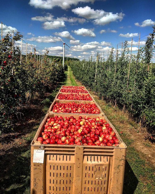 USDA tweet picture