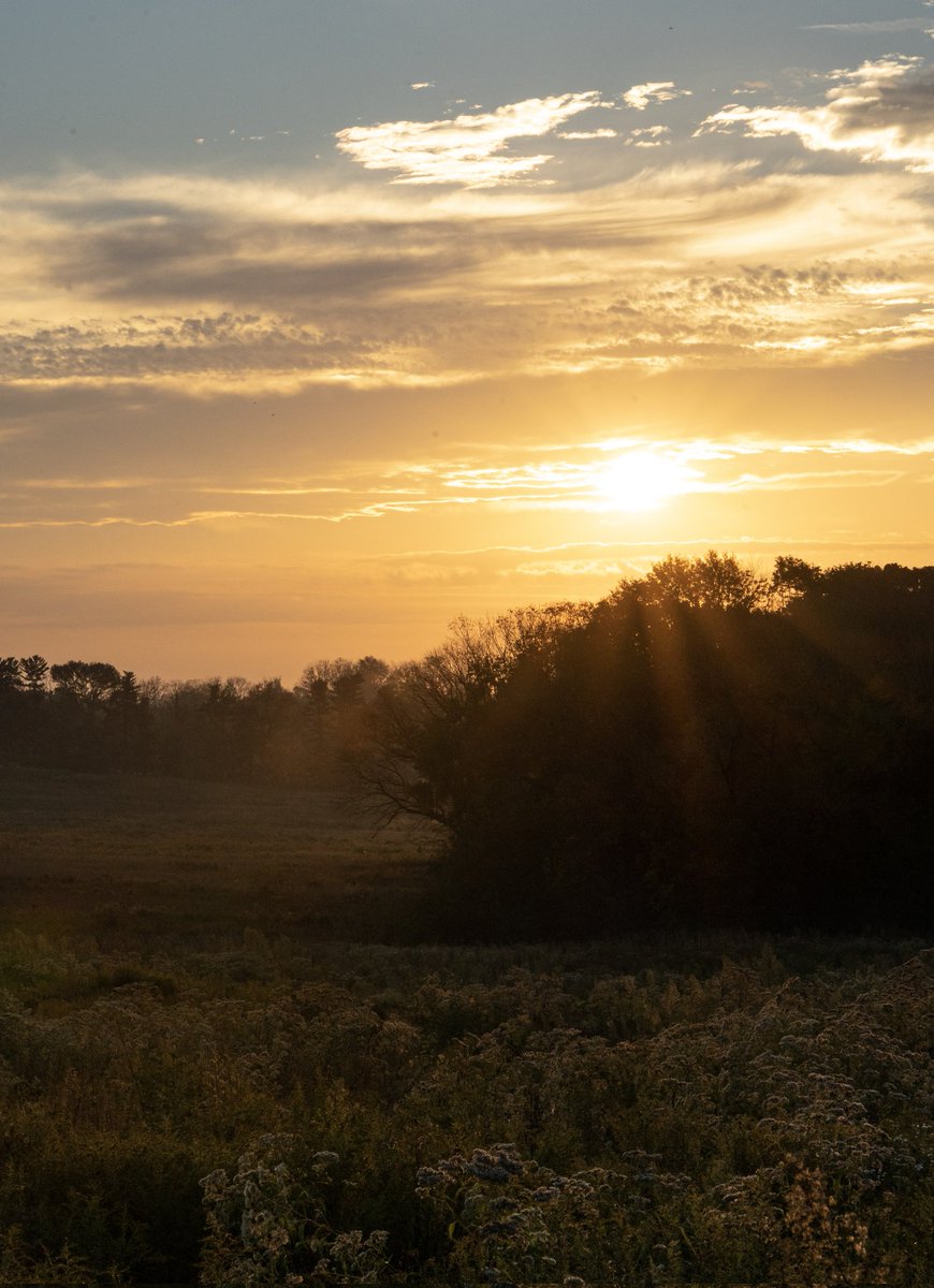 AnnetteME's tweet photo. I love sunrises, in my opinion, the best time to get up early and to take sunrise pictures is in the fall. How I love the fall weather!
#sunrisephotography https://t.co/sZ7oXBlpMC https://t.co/Bj98xpzDWk